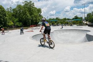 Gainesville Skate Park: Your Guide to Skating Fun! | How to Skateboard: A Beginner's Guide to Your First Board & Tricks