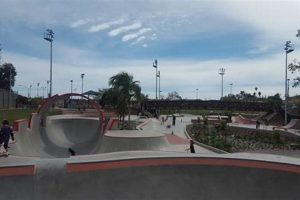 San Diego's Linda Vista Skate Park: Tricks & Community! | How to Skateboard: A Beginner's Guide to Your First Board & Tricks