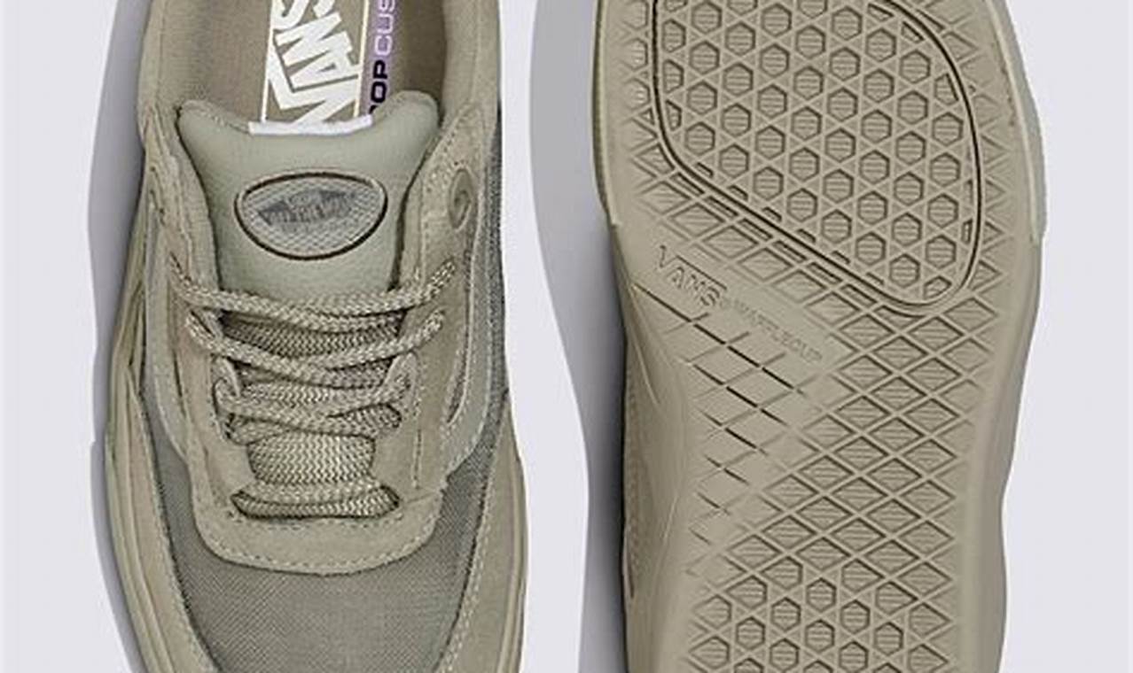 Best Skate Wayvee Shoe: Durable Skateboarding Shoes | How to Skateboard: A Beginner's Guide to Your First Board & Tricks