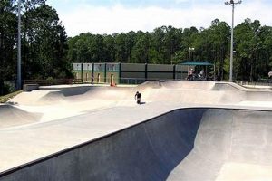 Your Guide to Treaty Park Skate Park Fun & Safety! | How to Skateboard: A Beginner's Guide to Your First Board & Tricks