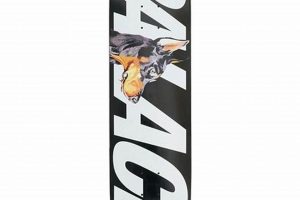 Buy Palace Skate Decks: Styles, Value & More! | How to Skateboard: A Beginner's Guide to Your First Board & Tricks