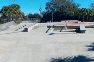 Apollo Beach Skate Park Guide: Thrills & Skills Here! How to Skateboard: A Beginner's Guide to Your First Board & Tricks Apollo Beach Skate Park Guide: Thrills & Skills Here! | How to Skateboard: A Beginner's Guide to Your First Board & Tricks