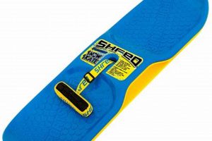 Unleash Skate Shred: Skills & Thrills for Skaters! | How to Skateboard: A Beginner's Guide to Your First Board & Tricks