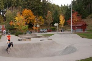 Visit Lynndale Park Skate Park: Fun & Skills! | How to Skateboard: A Beginner's Guide to Your First Board & Tricks