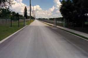 Brandon Park Skate Park: Ride Substation Road! How to Skateboard: A Beginner's Guide to Your First Board & Tricks Brandon Park Skate Park: Ride Substation Road! | How to Skateboard: A Beginner's Guide to Your First Board & Tricks