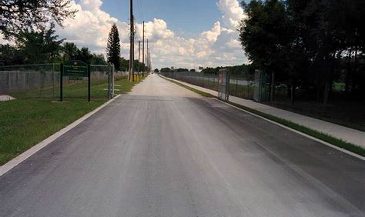 Brandon Park Skate Park: Ride Substation Road! | How to Skateboard: A Beginner's Guide to Your First Board & Tricks