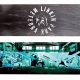 Buy Linkin Park Skate Deck Today! Collectible Decks | How to Skateboard: A Beginner's Guide to Your First Board & Tricks