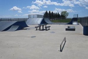 Visit Roosevelt Skate Park: Fun & Skills Await! | How to Skateboard: A Beginner's Guide to Your First Board & Tricks