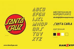 Skater's Santa Cruz Skate Font Style: Origins &amp; Impact | How to Skateboard: A Beginner's Guide to Your First Board & Tricks