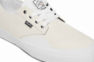 Best Sheep Skate Shoes: Grip & Style For Skaters! | How to Skateboard: A Beginner's Guide to Your First Board & Tricks