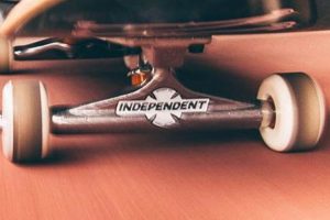 Upgrade: Pro Skate Wheels & Trucks for Better Rides! | How to Skateboard: A Beginner's Guide to Your First Board & Tricks