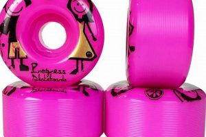 Top Skater Gear: Your Ultimate Skater Accessories Guide! | How to Skateboard: A Beginner's Guide to Your First Board & Tricks