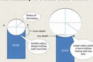 Understanding Skate Blade Hollow: A Skater's Guide | How to Skateboard: A Beginner's Guide to Your First Board & Tricks