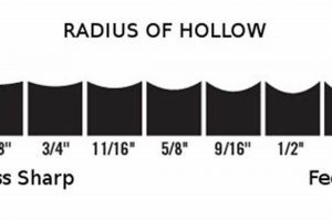 Ice Skate Hollow: Find Your Edge | Performance Guide | How to Skateboard: A Beginner's Guide to Your First Board & Tricks