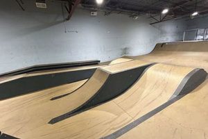 Your Skate Park Inside Guide: Ride Year-Round! How to Skateboard: A Beginner's Guide to Your First Board & Tricks Your Skate Park Inside Guide: Ride Year-Round! | How to Skateboard: A Beginner's Guide to Your First Board & Tricks