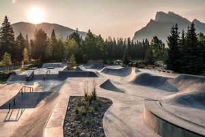 Best Skate Park Tricks: Skate the Park Like a Pro! | How to Skateboard: A Beginner's Guide to Your First Board & Tricks