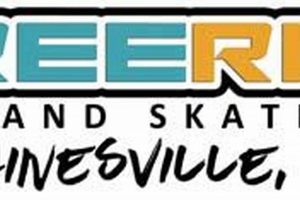 Your Ultimate Freeride Skate Shop: Gear & More! | How to Skateboard: A Beginner's Guide to Your First Board & Tricks