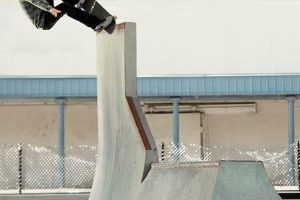 Guide to Grant Taylor Skater: Style &amp; Impact | How to Skateboard: A Beginner's Guide to Your First Board & Tricks