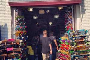 Find Your Ride: Best Venice Skate Shop Near You! | How to Skateboard: A Beginner's Guide to Your First Board & Tricks