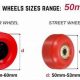 Choosing What Size Skate Wheels: A Complete Guide! | How to Skateboard: A Beginner's Guide to Your First Board & Tricks
