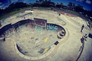 Unleash the Banzai Skate: Gear &amp; Tips for Downhill Skaters | How to Skateboard: A Beginner's Guide to Your First Board & Tricks