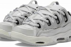 Vintage Osiris D3 2001 Skate Shoes: Retro Style for Men | How to Skateboard: A Beginner's Guide to Your First Board & Tricks