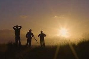 The Ultimate Skate West Guide: Routes & Tips! | How to Skateboard: A Beginner's Guide to Your First Board & Tricks