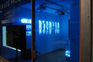 Skater's Guide to Skate Moss: Prevention &amp; Removal Tips | How to Skateboard: A Beginner's Guide to Your First Board & Tricks