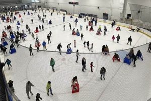 Enjoy Ice: Open Skate Ice House Fun Near You! | How to Skateboard: A Beginner's Guide to Your First Board & Tricks