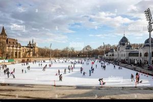 Glide into Winter: Budapest Ice Skate Adventures How to Skateboard: A Beginner's Guide to Your First Board & Tricks Glide into Winter: Budapest Ice Skate Adventures | How to Skateboard: A Beginner's Guide to Your First Board & Tricks