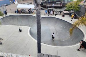 Find Your YMCA Skate Park | Guide &amp; Tips | How to Skateboard: A Beginner's Guide to Your First Board & Tricks