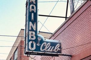 Find Rainbo Skate Shop: Gear & More Near You! | How to Skateboard: A Beginner's Guide to Your First Board & Tricks