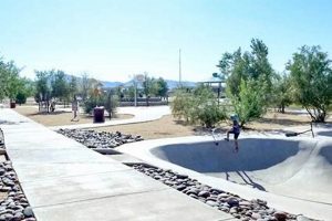 Best Skate Parks in El Paso, TX: Your Guide! | How to Skateboard: A Beginner's Guide to Your First Board & Tricks