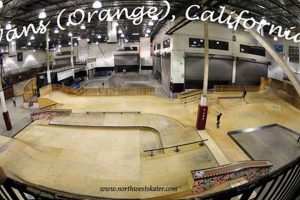 Best Orange County Skate Parks: Your Guide to Local Spots | How to Skateboard: A Beginner's Guide to Your First Board & Tricks