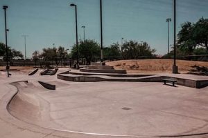 Your Guide to Purple Heart Skate Park Fun & Safety | How to Skateboard: A Beginner's Guide to Your First Board & Tricks