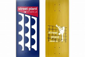 Master Street Plant Skate: Tricks & Tips for Skaters | How to Skateboard: A Beginner's Guide to Your First Board & Tricks