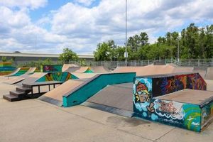 Find Fun! Top Skate Parks in Tennessee Guide | How to Skateboard: A Beginner's Guide to Your First Board & Tricks