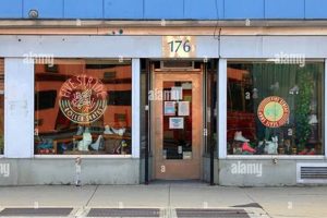 Best Roller Skate Store NYC: Roll into Fun! | How to Skateboard: A Beginner's Guide to Your First Board & Tricks