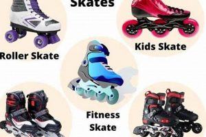 A Skater's Guide: Types of Skates Explained + More How to Skateboard: A Beginner's Guide to Your First Board & Tricks A Skater's Guide: Types of Skates Explained + More | How to Skateboard: A Beginner's Guide to Your First Board & Tricks