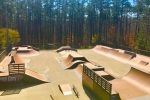 The Ultimate Cary Skate Park Guide: Features & More | How to Skateboard: A Beginner's Guide to Your First Board & Tricks