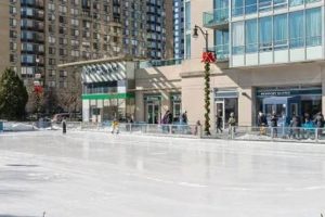 Newport Skates NJ: Your Guide to Skate Life! | How to Skateboard: A Beginner's Guide to Your First Board & Tricks