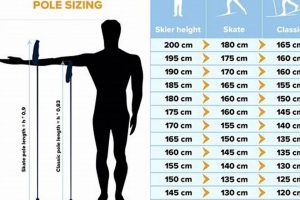 Find Your Perfect Skate Ski Pole Length: Sizing Guide for Skaters | How to Skateboard: A Beginner's Guide to Your First Board & Tricks