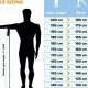 Find Your Perfect Skate Ski Pole Length: Sizing Guide for Skaters | How to Skateboard: A Beginner's Guide to Your First Board & Tricks