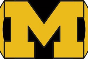 Unleash Pro Motor Skates: Ride Like A Pro! How to Skateboard: A Beginner's Guide to Your First Board & Tricks Unleash Pro Motor Skates: Ride Like A Pro! | How to Skateboard: A Beginner's Guide to Your First Board & Tricks