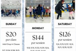 Skater's Guide: Winterhurst Open Skate Fun & Tips! | How to Skateboard: A Beginner's Guide to Your First Board & Tricks