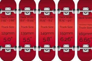 Choosing Skate Deck Width: Find Your Ideal Deck Size How to Skateboard: A Beginner's Guide to Your First Board & Tricks Choosing Skate Deck Width: Find Your Ideal Deck Size | How to Skateboard: A Beginner's Guide to Your First Board & Tricks