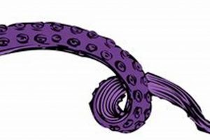 Seattle Skaters: Kraken Open Skate Sessions - Your Guide! | How to Skateboard: A Beginner's Guide to Your First Board & Tricks