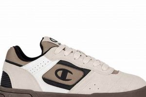 Elevate Your Game: Champion Skate Selection Guide | How to Skateboard: A Beginner's Guide to Your First Board & Tricks