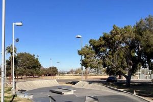 Arizona Skate Shops: Find Your Local Deck & More! How to Skateboard: A Beginner's Guide to Your First Board & Tricks Arizona Skate Shops: Find Your Local Deck & More! | How to Skateboard: A Beginner's Guide to Your First Board & Tricks
