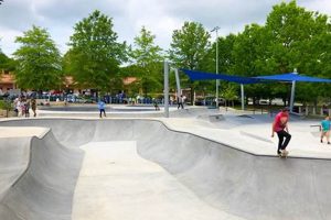 Arlington VA Skate Parks: Your Local Guide! | How to Skateboard: A Beginner's Guide to Your First Board & Tricks
